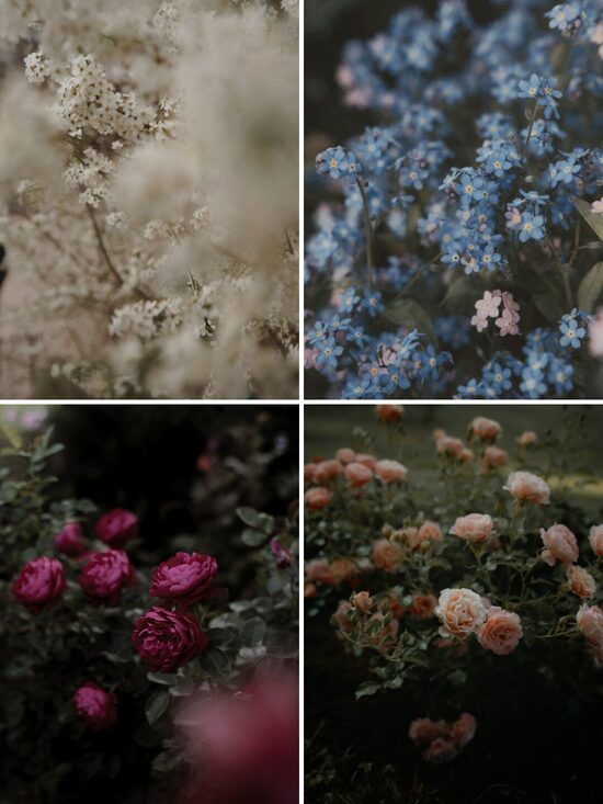 Pastkartīšu komplekts "Klusuma sajūtas"